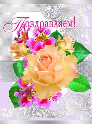 Открытка А4 'Поздравляю', ОФК-008282