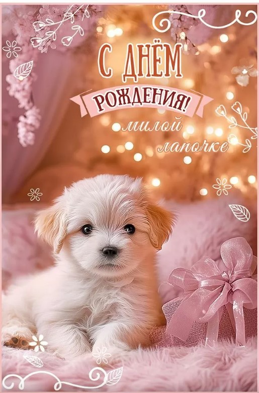 Открытка А5, С Днем рождения, 50001248